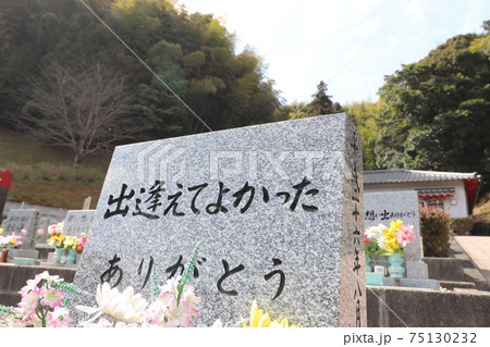 晴れた日のペット霊園の墓石 晴れた日のペット霊園の墓石 75130232