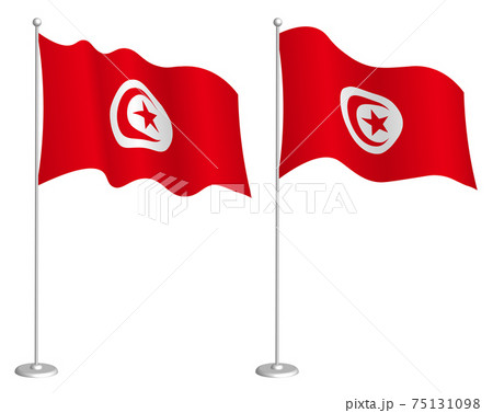 Republic of Tunisia flag on flagpole waving in wind. Holiday design element. Checkpoint for map symbols. Isolated vector on white background