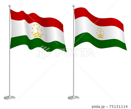 flag of Tajikistan on flagpole waving in wind. Holiday design element. Checkpoint for map symbols. Isolated vector on white background