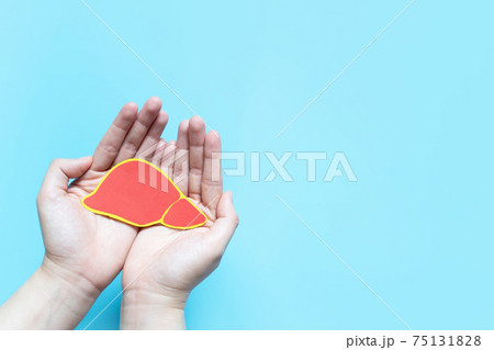 Healthy liver. Human hand holding liver symbol on light blue background with copy space. Health care and medical concept. 75131828
