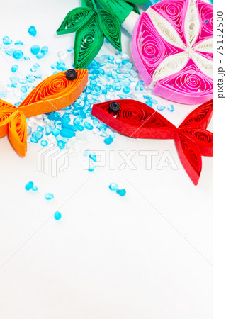 金魚と朝顔。 金魚と朝顔。 75132500