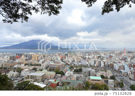 桜島を臨む 75132626