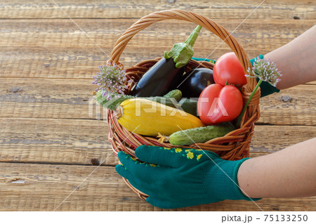 Just picked vegetables in a wicker basket on old wooden boards. Just picked vegetables in a wicker basket on old wooden boards. 75133250