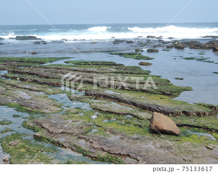 stone background with beach green moss, rock with beach stone moss stone background with beach green moss, rock with beach stone moss 75133617