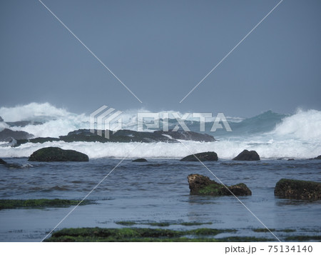 stone background with beach green moss, rock with beach stone moss 75134140