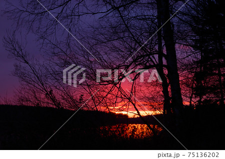 Beautiful sunset in November on the lake, Finland. Beautiful sunset in November on the lake, Finland. 75136202