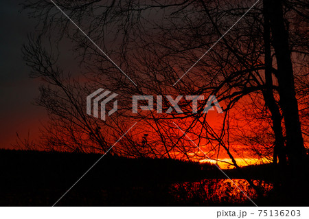 Beautiful sunset in November on the lake, Finland. 75136203