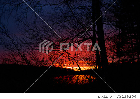 Beautiful sunset in November on the lake, Finland. Beautiful sunset in November on the lake, Finland. 75136204
