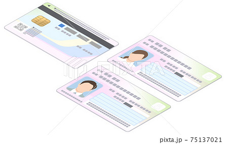 マイナンバーカード 男女 両面 斜め イラスト 75137021