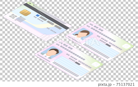 マイナンバーカード 男女 両面 斜め イラスト 75137021