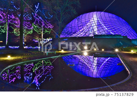 イルミネーション とっとり花回廊 イルミネーション とっとり花回廊 75137829
