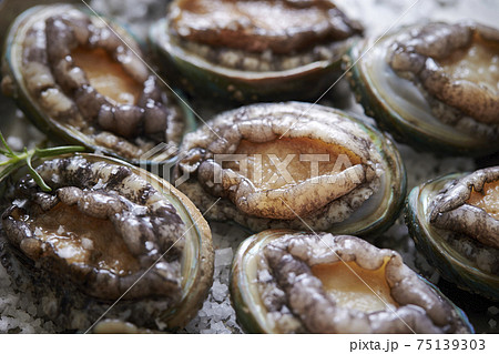 新鮮な活アワビ 75139303