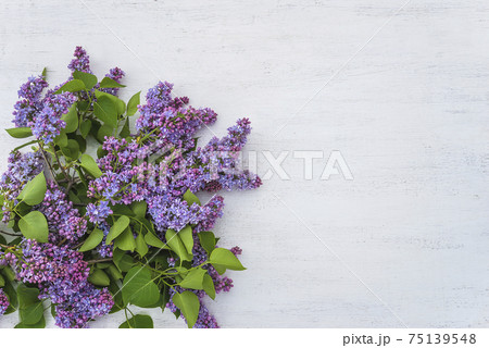 Happy Mothers day greeting card. Bunch of purple lilac on white paint wooden background. Space for text, flat lay Happy Mothers day greeting card. Bunch of purple lilac on white paint wooden background. Space for text, flat lay 75139548