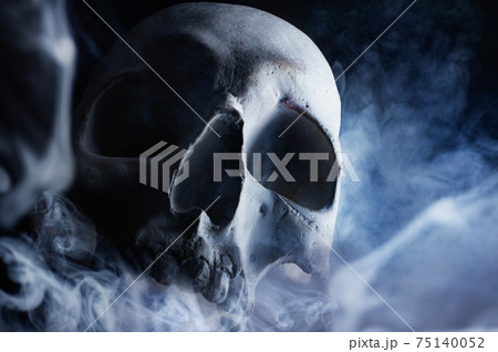 Human skull in smoke front view. Human skull in smoke front view. 75140052