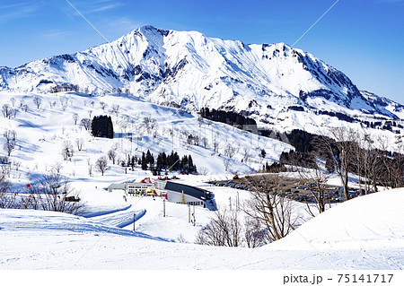 スキー場 【シャルマン火打スキー場】(新潟県糸魚川市) 75141717