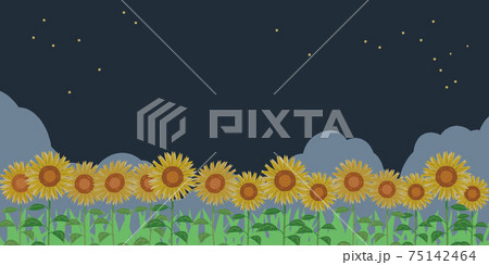ひまわり 夜空 ひまわり 夜空 75142464