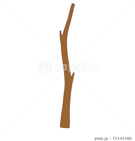 Part of a tree branch, a bare branch without leaves. Vector 75142480