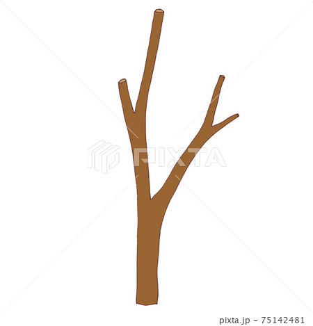 Part of a tree branch, a bare branch without leaves. Vector Part of a tree branch, a bare branch without leaves. Vector 75142481
