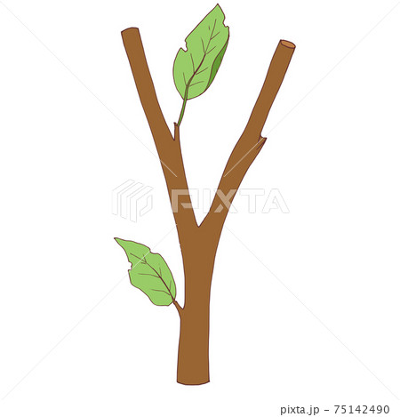 a tree branch, with a couple of ragged leaves. Vector 75142490