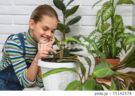Girl happily examines houseplants Girl happily examines houseplants 75142578