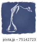 Cyanotyping process. Imitation. Withered flower in a bottle  75142723