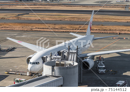【羽田空港　第1ターミナル】 75144512