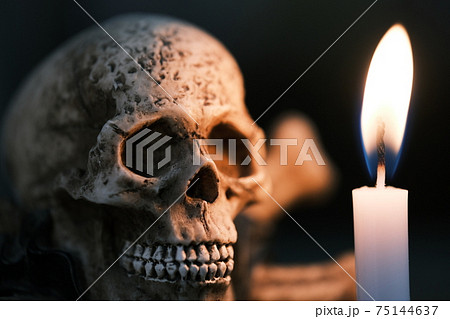 ハロウィン　ガイコツ 75144637