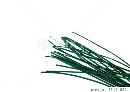 園芸用カットビニールタイ ワイヤー入りのヒモ 結束材 仮止め 園芸用カットビニールタイ ワイヤー入りのヒモ 結束材 仮止め 75144892