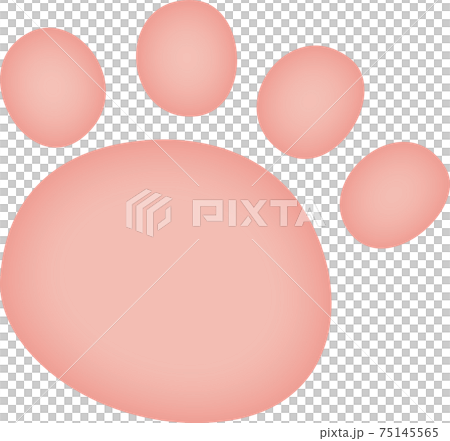 水彩風格的淺粉紅色動物腳印 水彩風格的淺粉紅色動物腳印 75145565