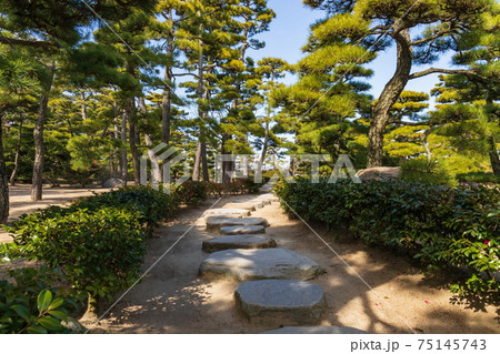 玉藻公園　散策道の飛び石　（香川県高松市） 75145743