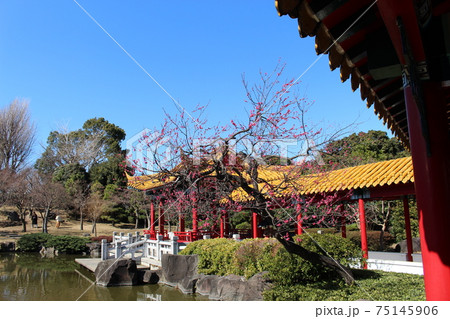 瀋秀園（しんしゅうえん）藕香榭（ぐうこうしゃ）　垂花門 75145906