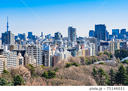 東京 新宿から見る都心部とスカイツリーの写真素材