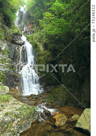 滝の風景 滝の風景 75146312