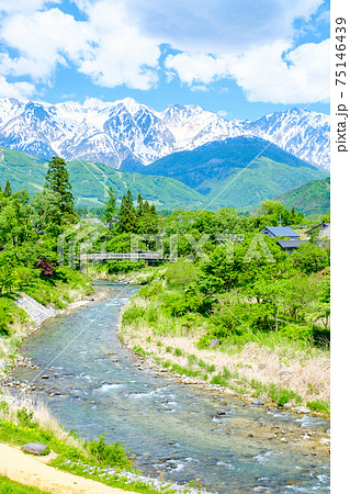 新緑の大出公園（白馬村） 75146439