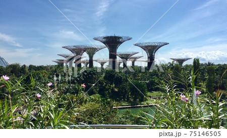 ガーデンズ バイ ザ ベイ 75146505