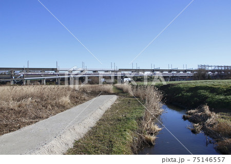 原市沼付近を走行するニューシャトルと上越新幹線マックス 原市沼付近を走行するニューシャトルと上越新幹線マックス 75146557