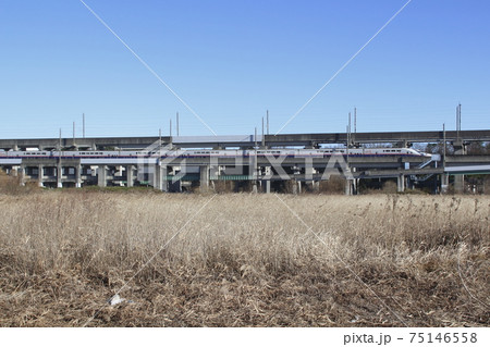 原市沼付近を走行するニューシャトルと上越新幹線マックス 75146558