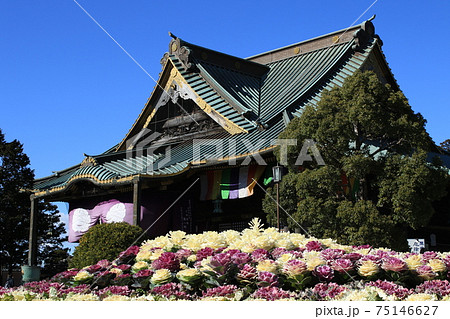 成田山新勝寺 成田山新勝寺 75146627