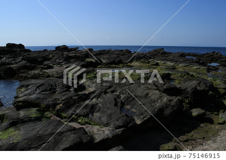 城ヶ島 城ヶ島 75146915