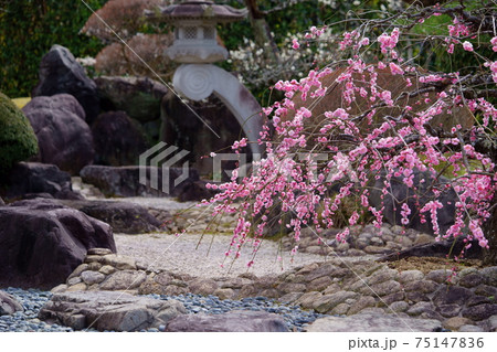 名園・銭司聖天・初春の枯山水庭園18 75147836