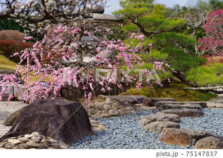 名園・銭司聖天・初春の枯山水庭園23 75147837