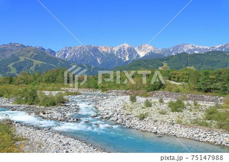 初秋の白馬山麓 快晴の北アルプスと清流 初秋の白馬山麓 快晴の北アルプスと清流 75147988