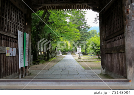 夏の谷汲山華厳寺・3(岐阜県揖斐郡揖斐川町谷汲) 夏の谷汲山華厳寺・3(岐阜県揖斐郡揖斐川町谷汲) 75148004