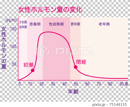 女性ホルモン量の変化　グラフ 75148135