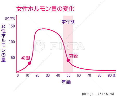 女性ホルモン量の変化 グラフのイラスト素材