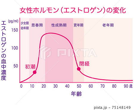 女性ホルモン量の変化 グラフのイラスト素材