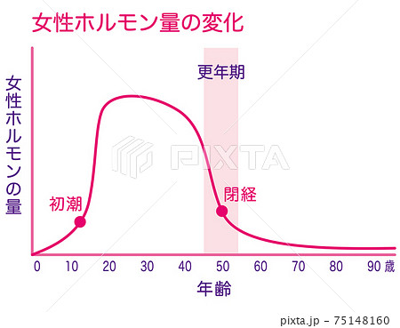 女性ホルモン量の変化 グラフのイラスト素材