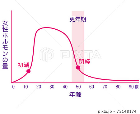 女性ホルモン量の変化　グラフ 75148174