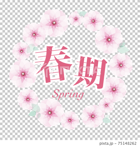 Spring mark cherry blossoms 75148262