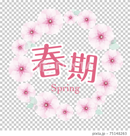 春天馬克櫻花 春天馬克櫻花 75148263